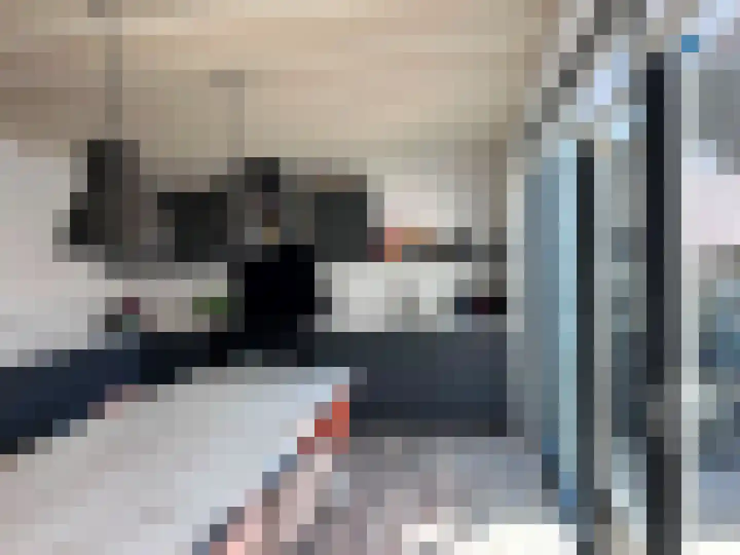 Ireneweg 6 Oosterbeek thumbnail 7