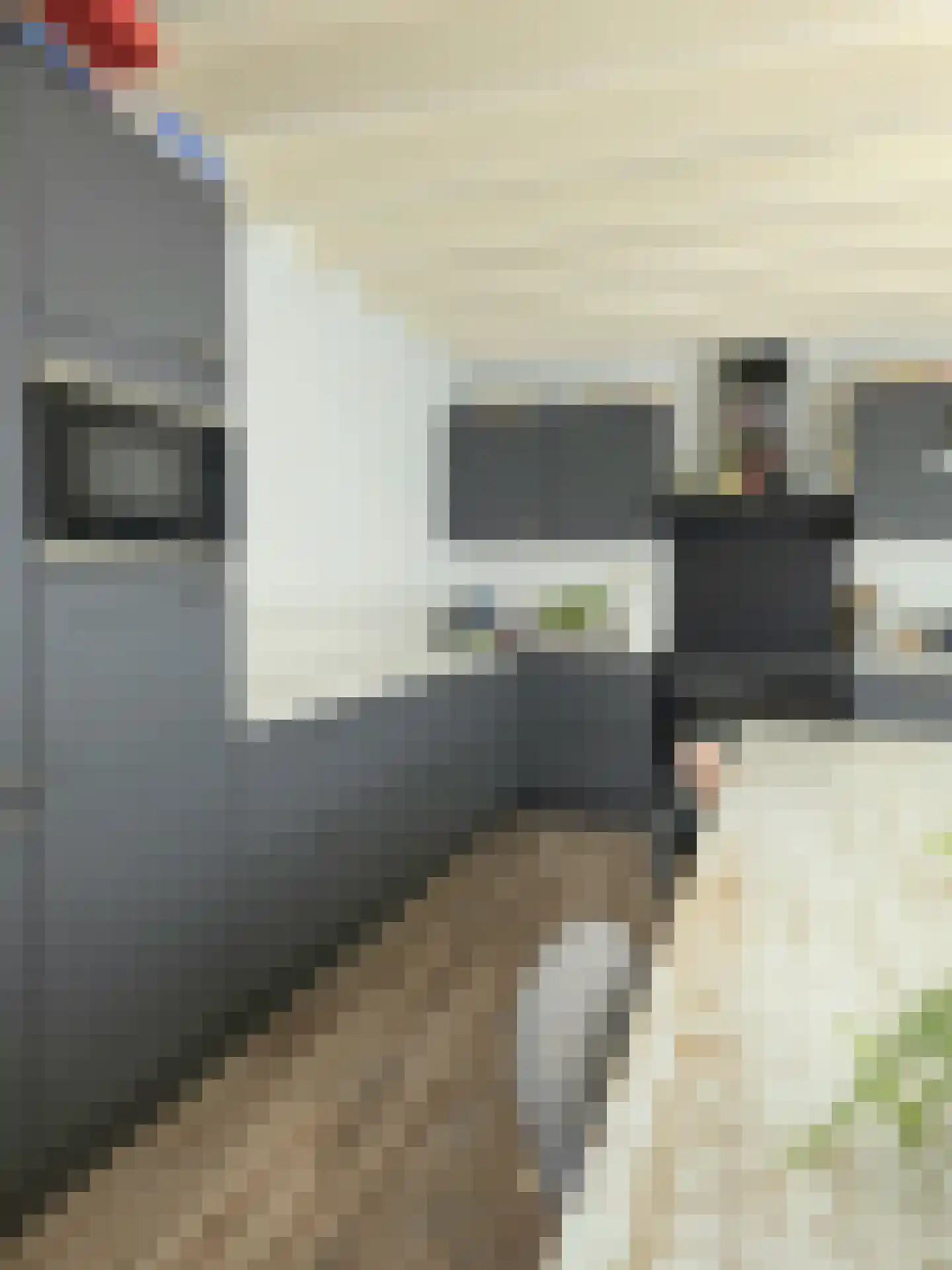 Ireneweg 6 Oosterbeek thumbnail 9