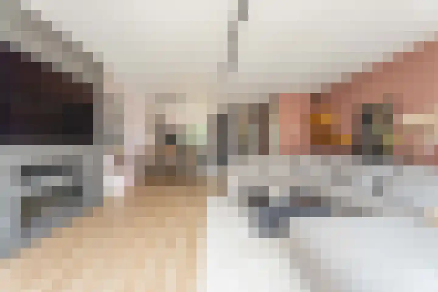 Iris 25 Voorhout thumbnail 11