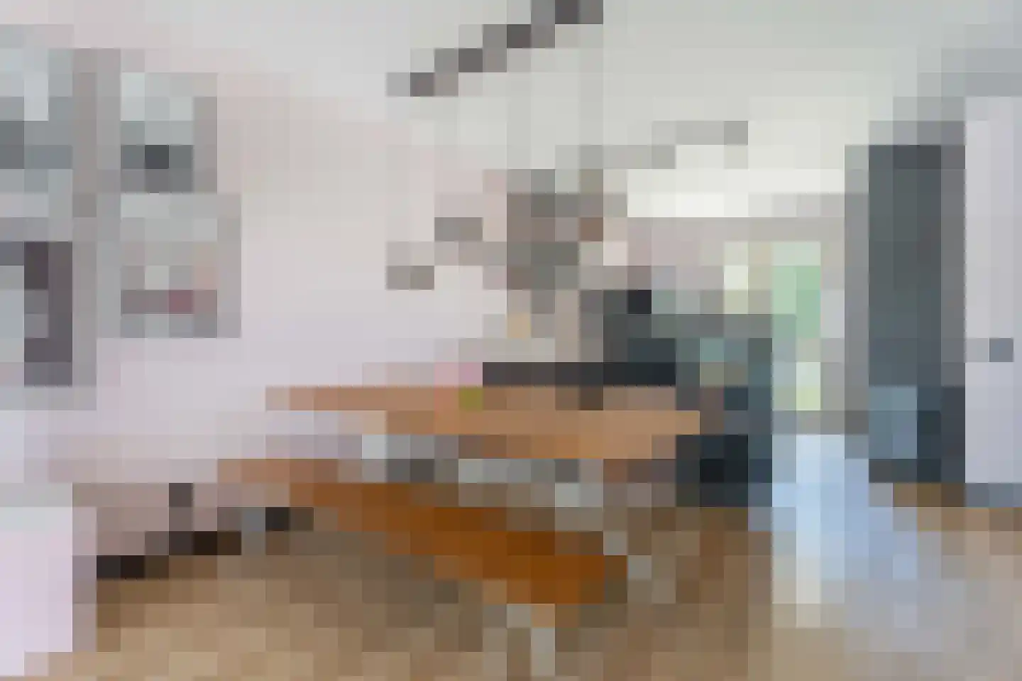 Iris 25 Voorhout thumbnail 14