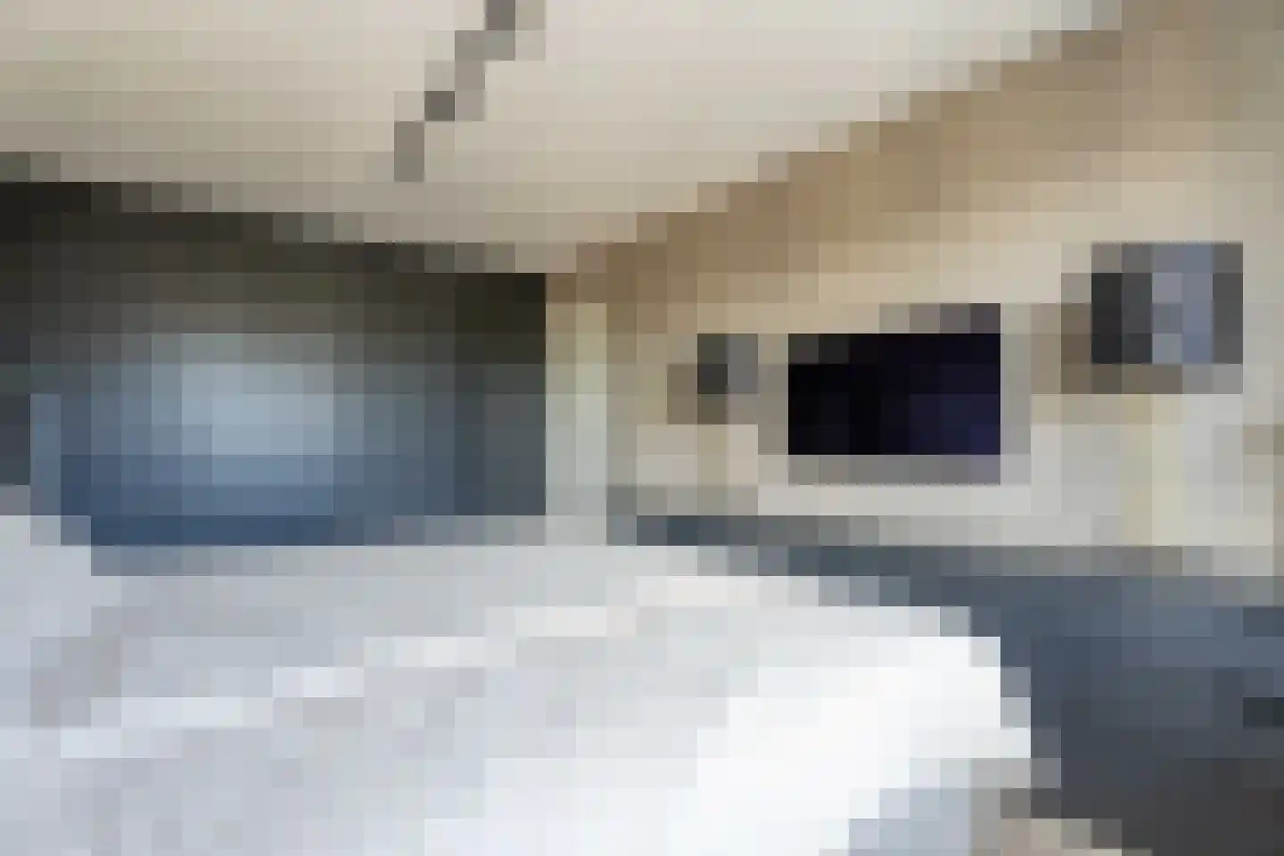 Iris 25 Voorhout thumbnail 18