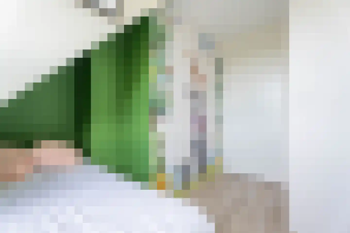 Iris 25 Voorhout thumbnail 39