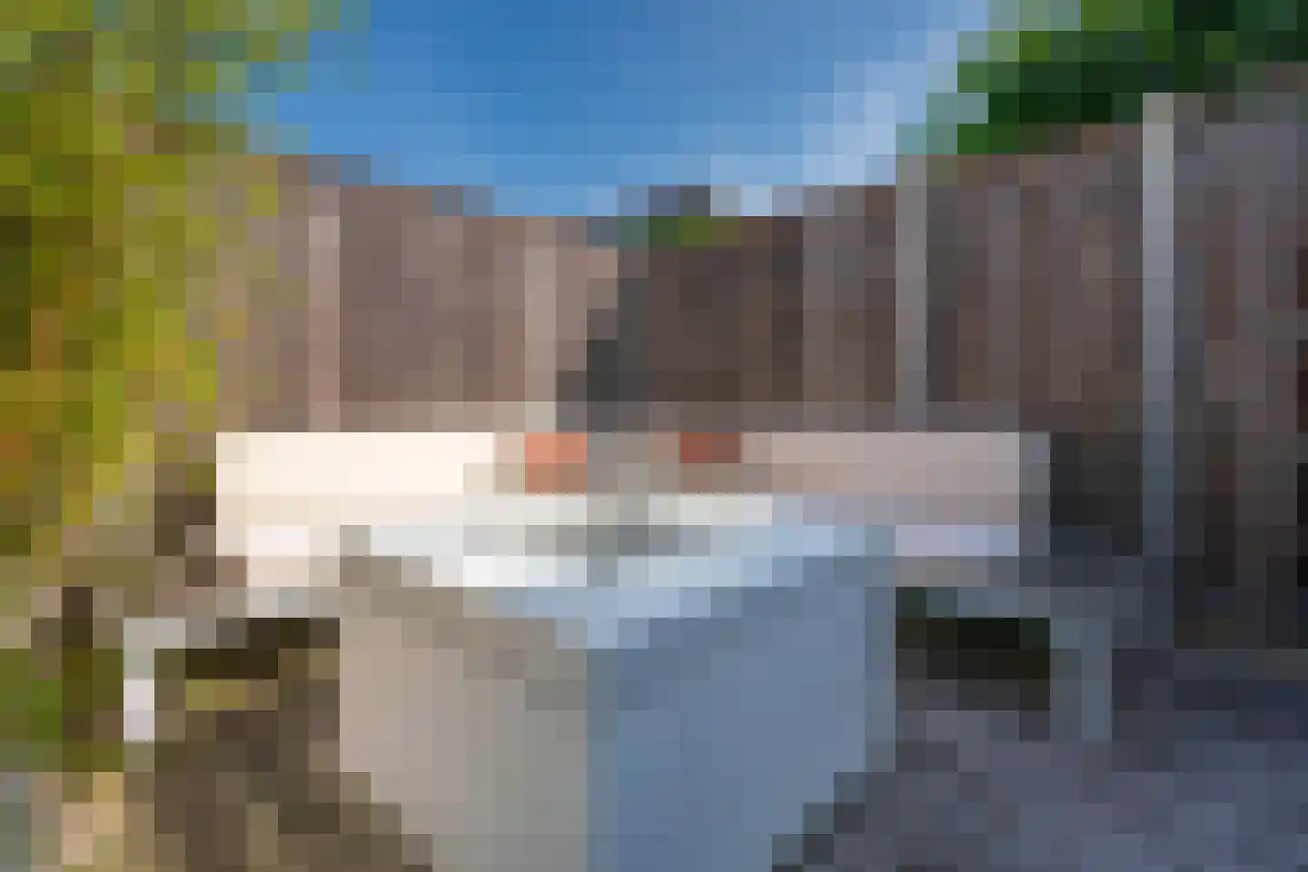 Iris 25 Voorhout thumbnail 44