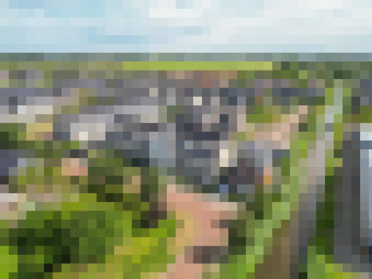 Iris 25 Voorhout thumbnail 57