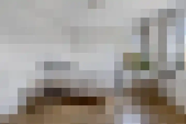 Iris 27 Oosterwolde thumbnail 21