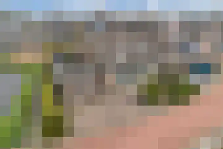 Iris 27 Oosterwolde thumbnail 6