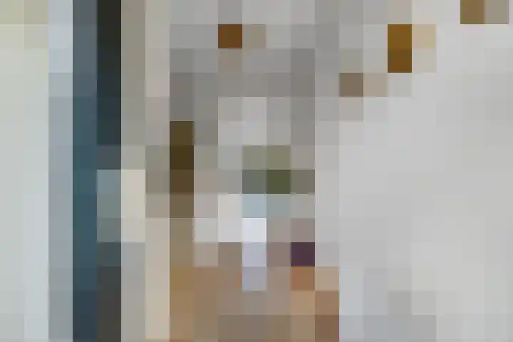 Iris 27 Oosterwolde thumbnail 9