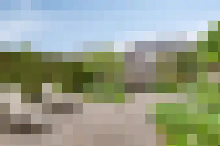 Irisberg 15 Roosendaal thumbnail 11