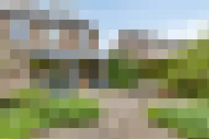 Irisberg 15 Roosendaal thumbnail 13