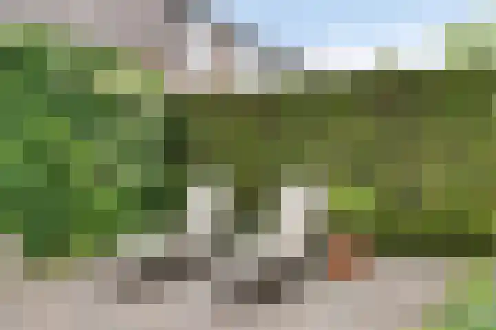 Irisberg 15 Roosendaal thumbnail 14