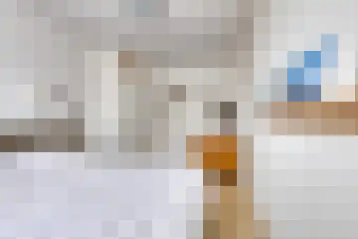 Irisberg 15 Roosendaal thumbnail 17
