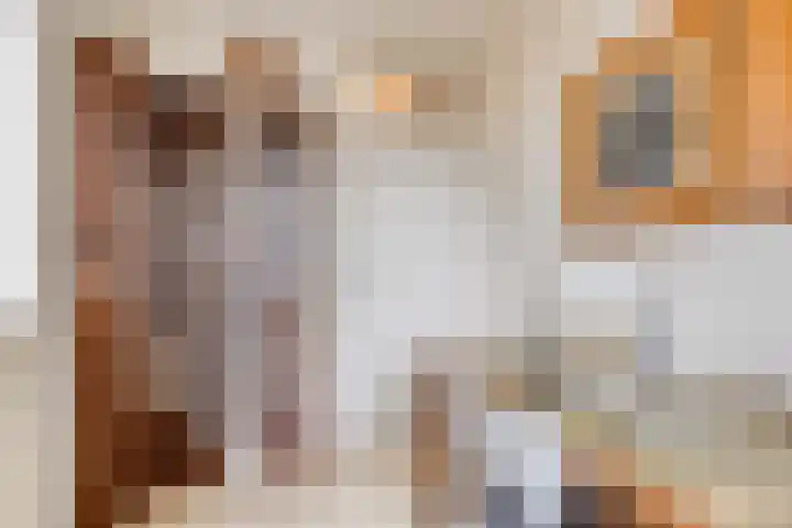 Irisberg 15 Roosendaal thumbnail 19