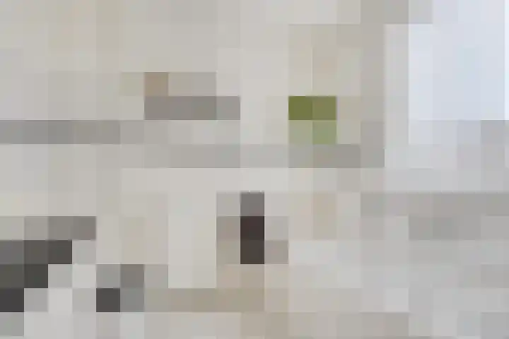 Irisberg 15 Roosendaal thumbnail 21