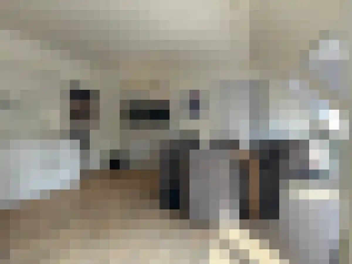 Irislaan 11 Leende thumbnail 4