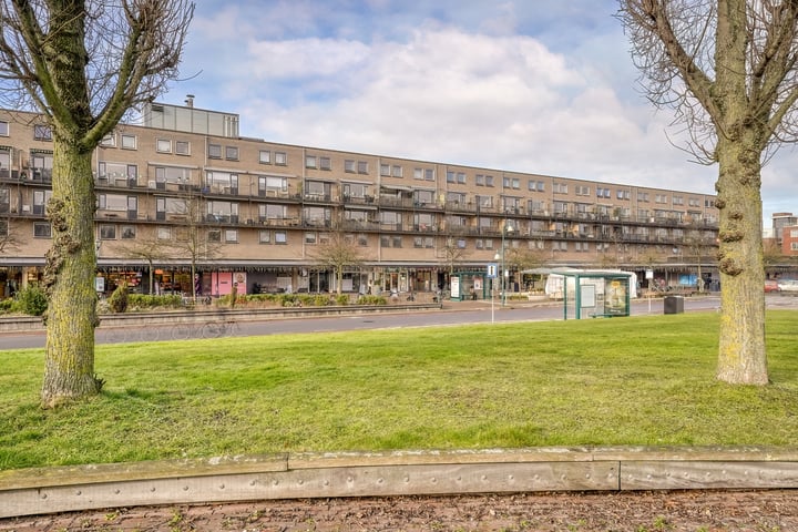 Irislaan 147 dans Oegstgeest photo