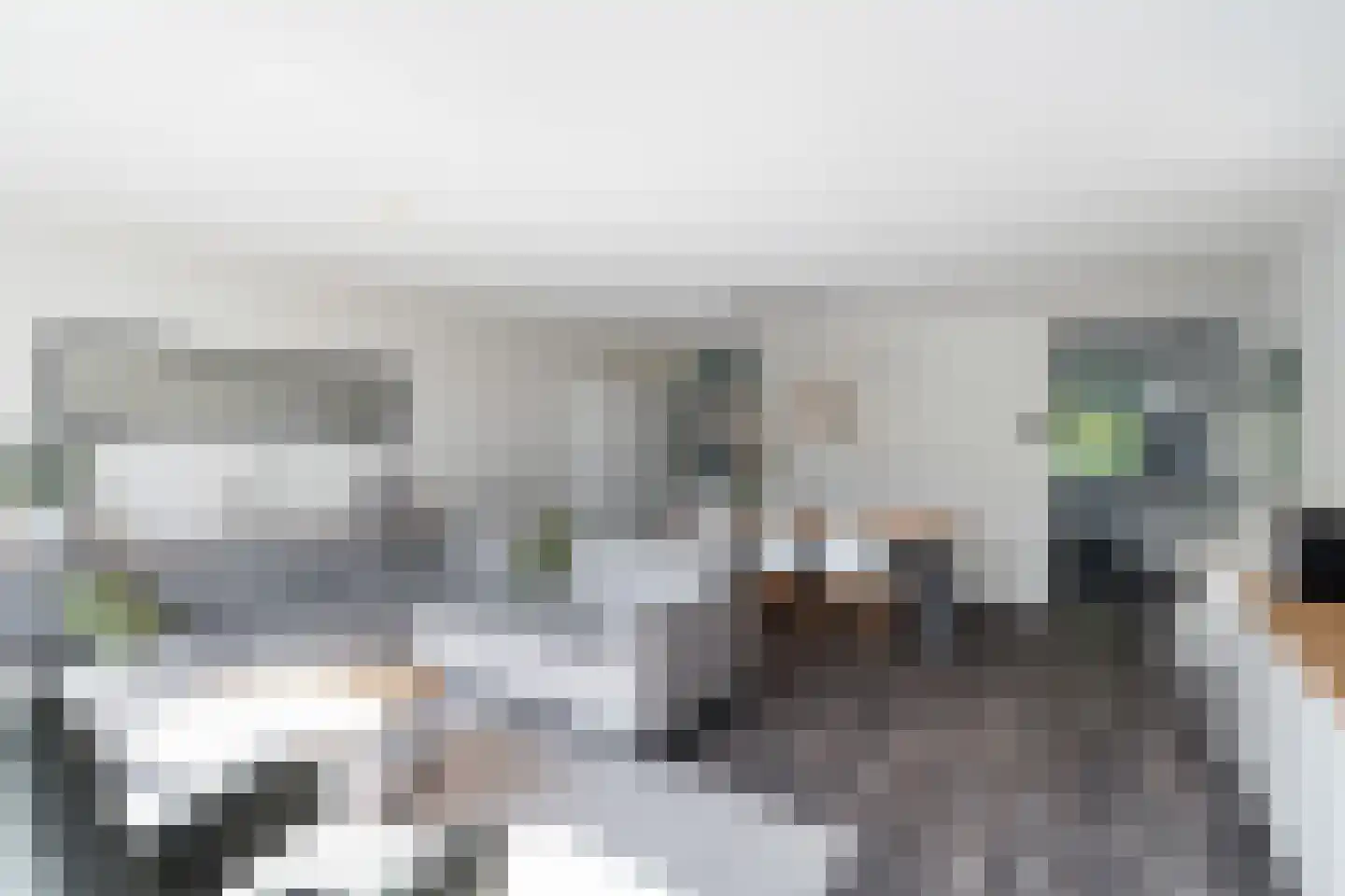 Irislaan 15 Berkel en Rodenrijs thumbnail 10