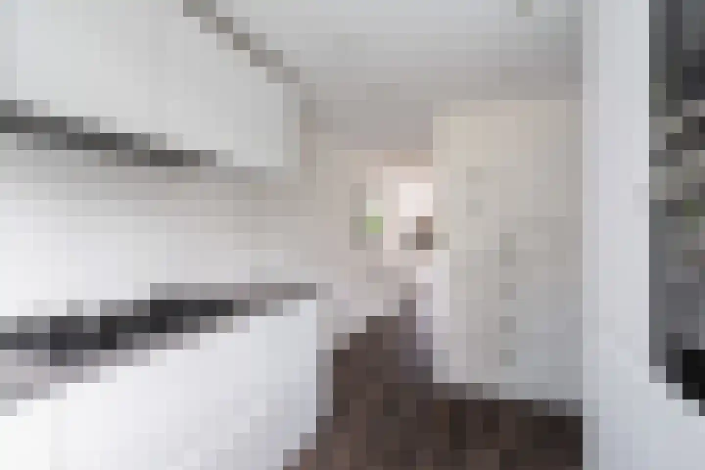 Irislaan 15 Berkel en Rodenrijs thumbnail 13