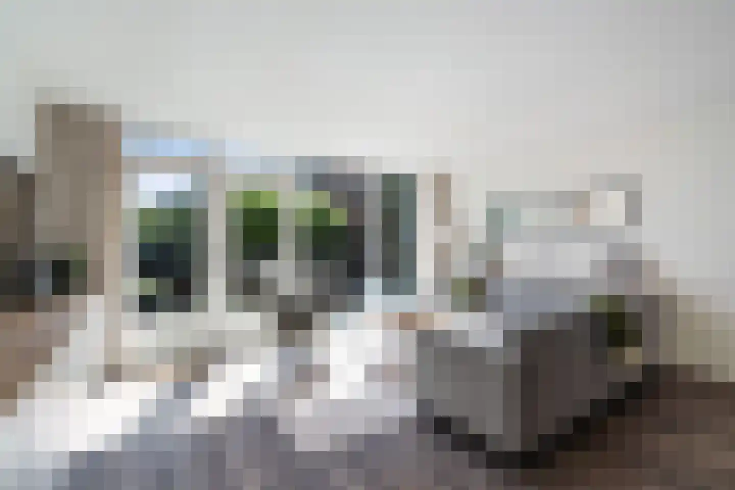 Irislaan 15 Berkel en Rodenrijs thumbnail 7