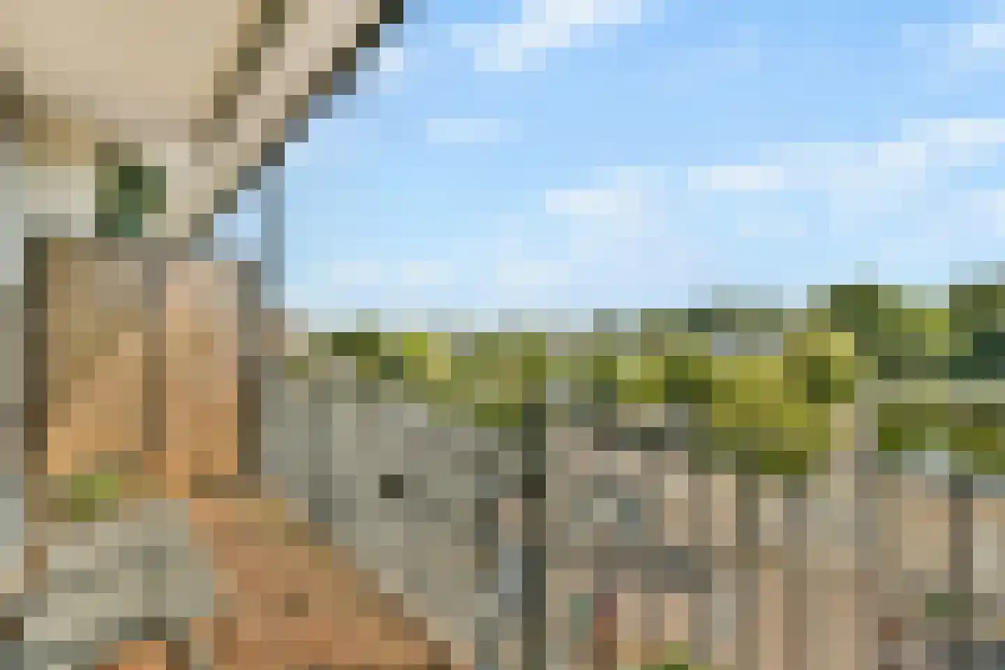 Irislaan 157 Oegstgeest thumbnail 6