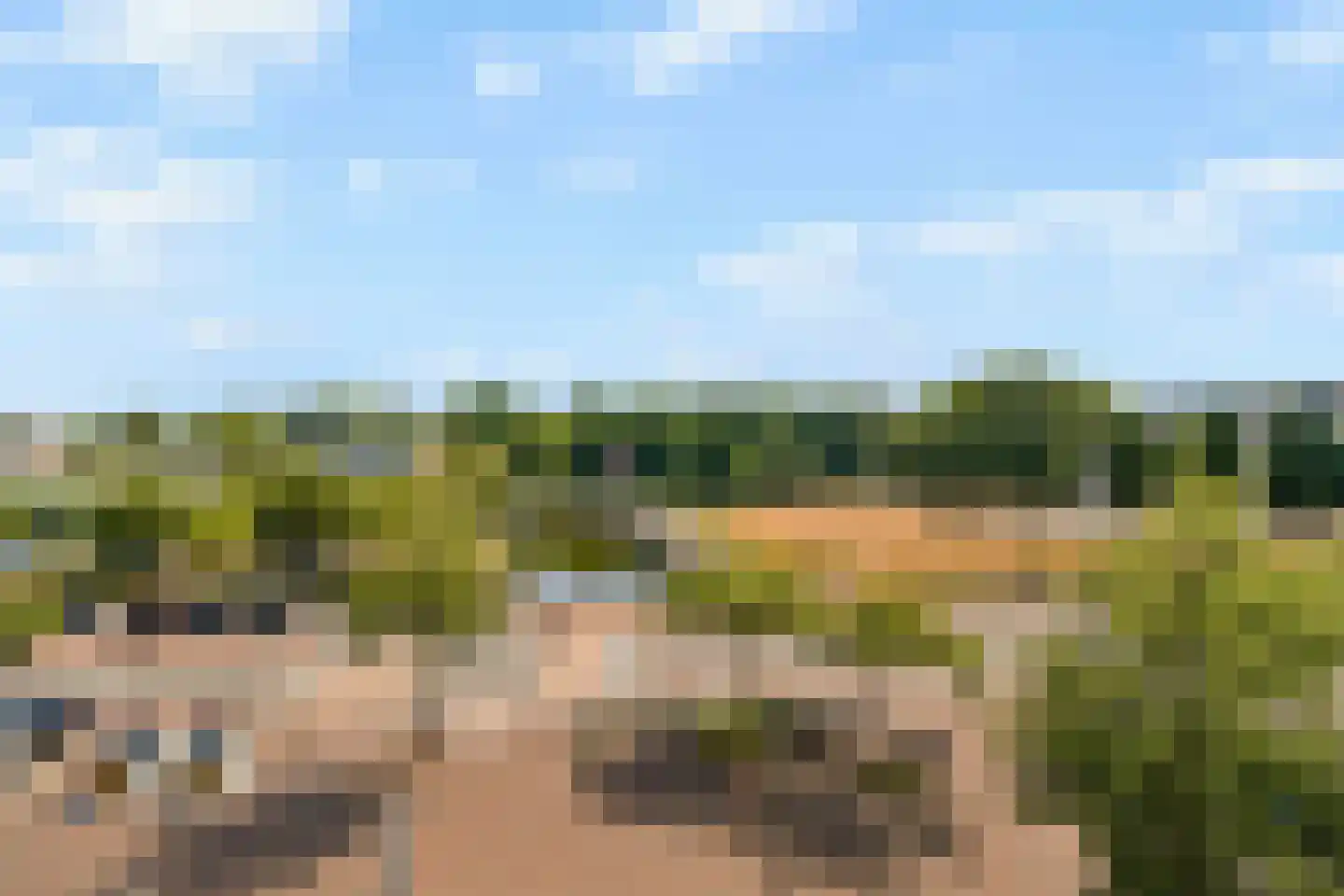 Irislaan 157 Oegstgeest thumbnail 8