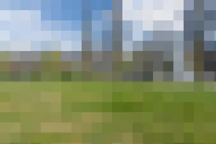 Irislaan 163 Oegstgeest thumbnail 51
