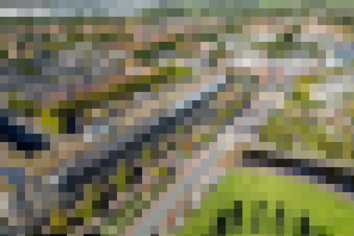 Irislaan 167 Oegstgeest thumbnail 35