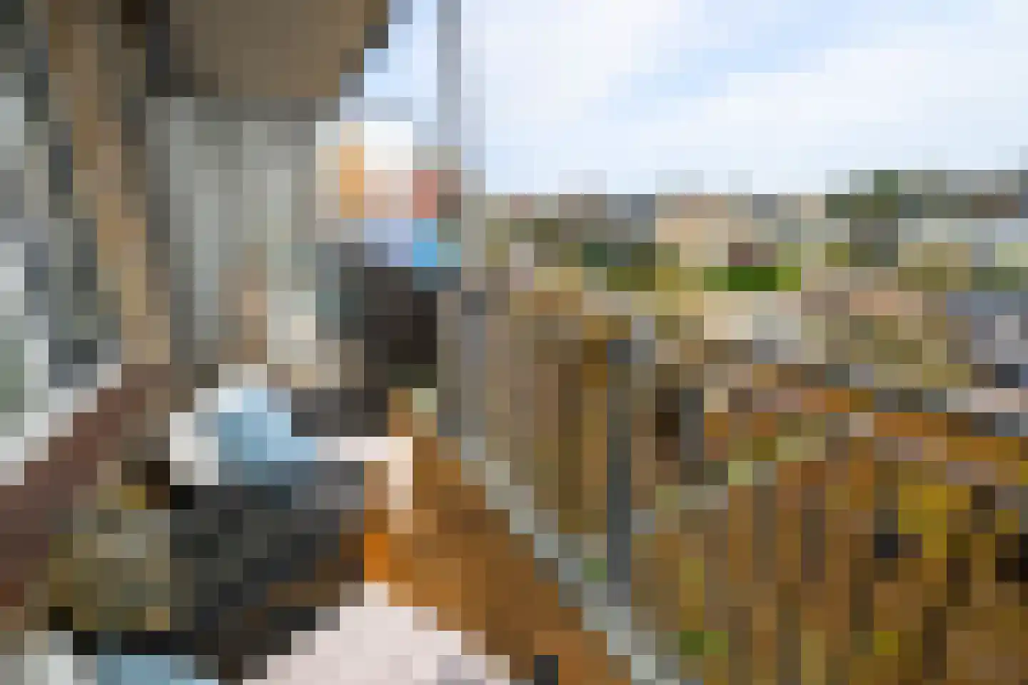 Irislaan 173 Oegstgeest thumbnail 15