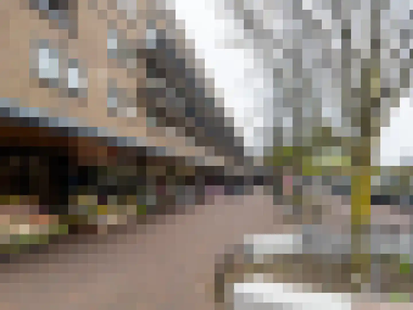 Irislaan 173 Oegstgeest thumbnail 37