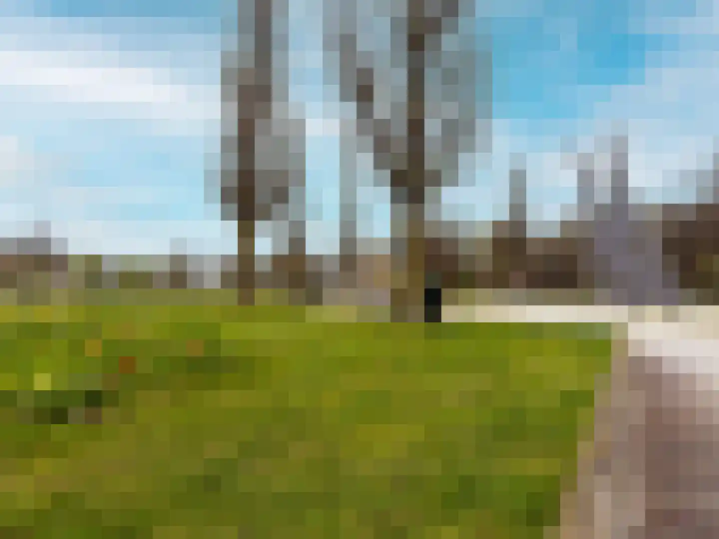 Irislaan 173 Oegstgeest thumbnail 39