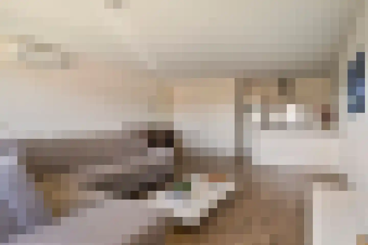 Irislaan 20 Eindhoven thumbnail 8