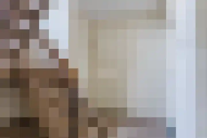Irislaan 26 Leende thumbnail 17
