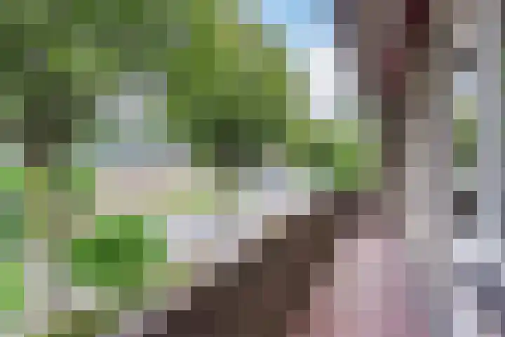 Irislaan 26 Leende thumbnail 20
