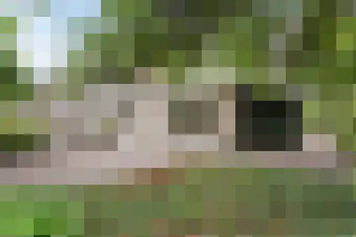 Irislaan 26 Leende thumbnail 35