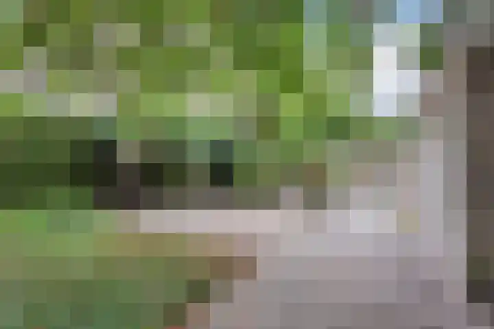 Irislaan 26 Leende thumbnail 36