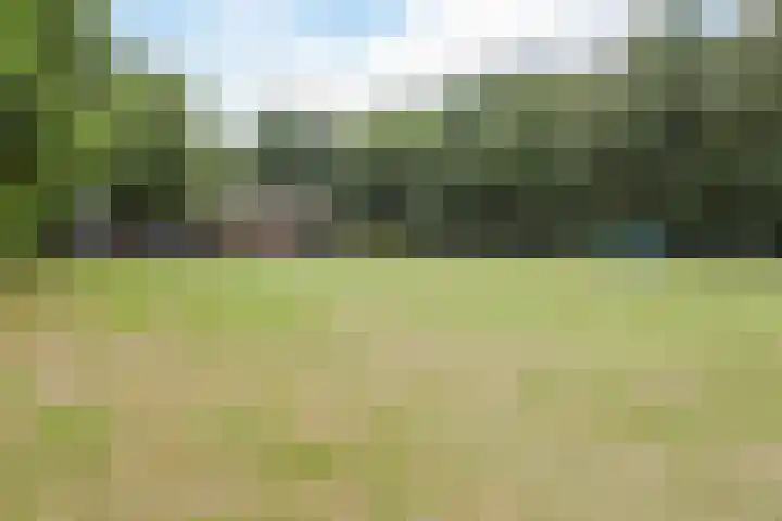 Irislaan 26 Leende thumbnail 38