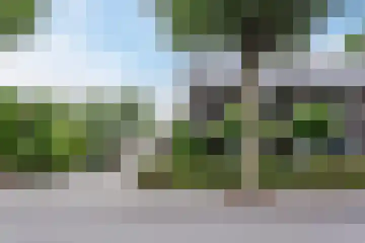 Irislaan 26 Leende thumbnail 40