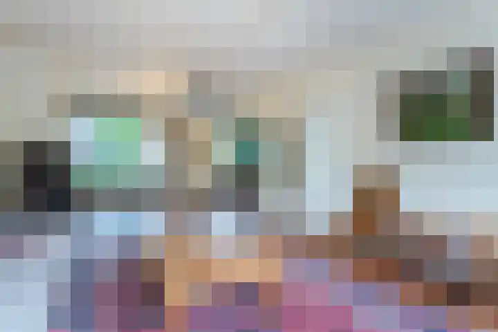 Irislaan 26 Leende thumbnail 6