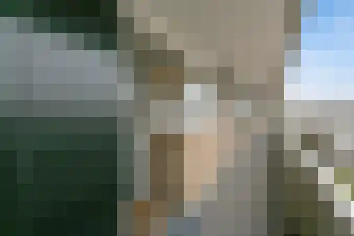 Irislaan 263 Oegstgeest thumbnail 10
