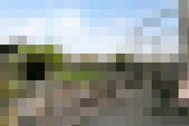 Irislaan 263 Oegstgeest thumbnail 23