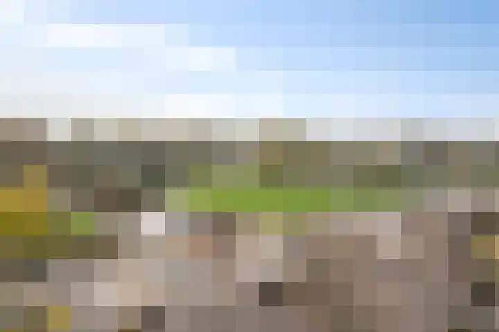 Irislaan 263 Oegstgeest thumbnail 25