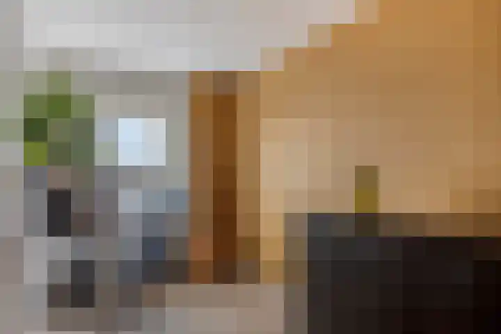 Irislaan 263 Oegstgeest thumbnail 31