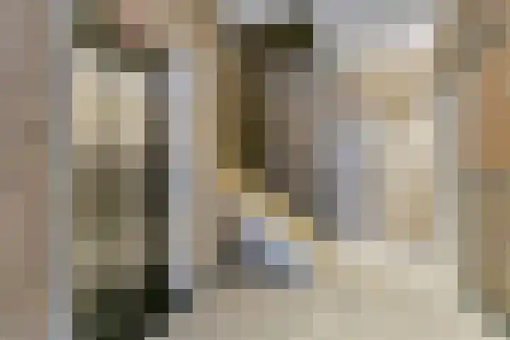 Irislaan 263 Oegstgeest thumbnail 8