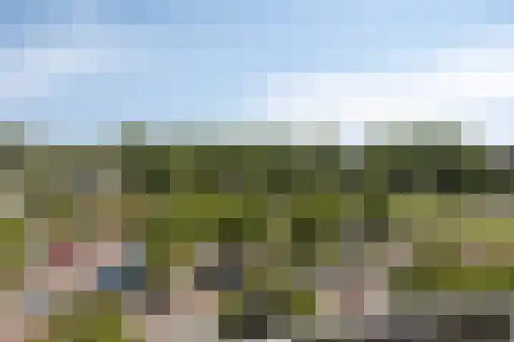 Irislaan 275 Oegstgeest thumbnail 19