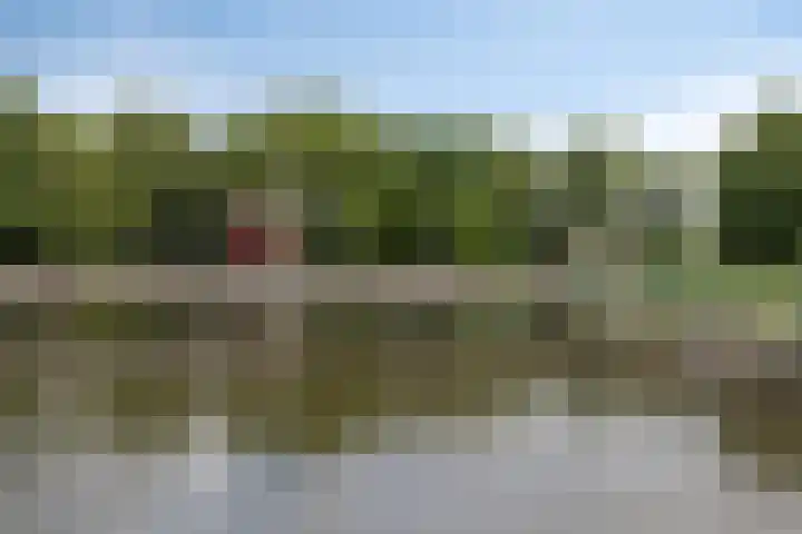 Irislaan 275 Oegstgeest thumbnail 32