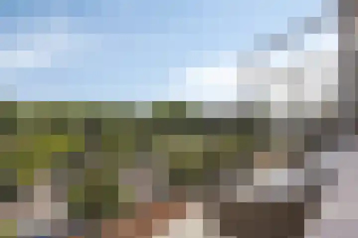 Irislaan 275 Oegstgeest thumbnail 4