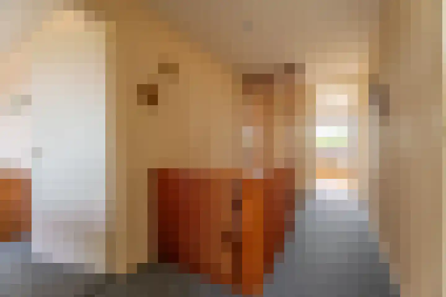 Irislaan 279 Oegstgeest thumbnail 26