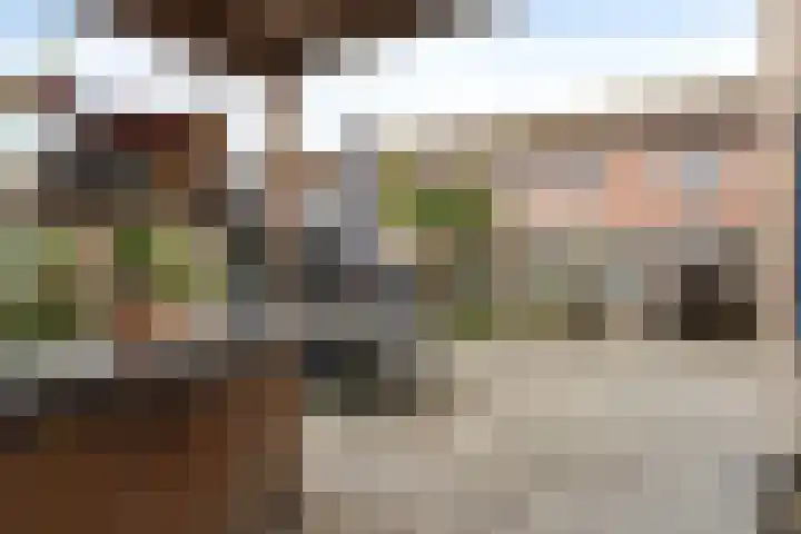 Irislaan 28 Yerseke thumbnail 16