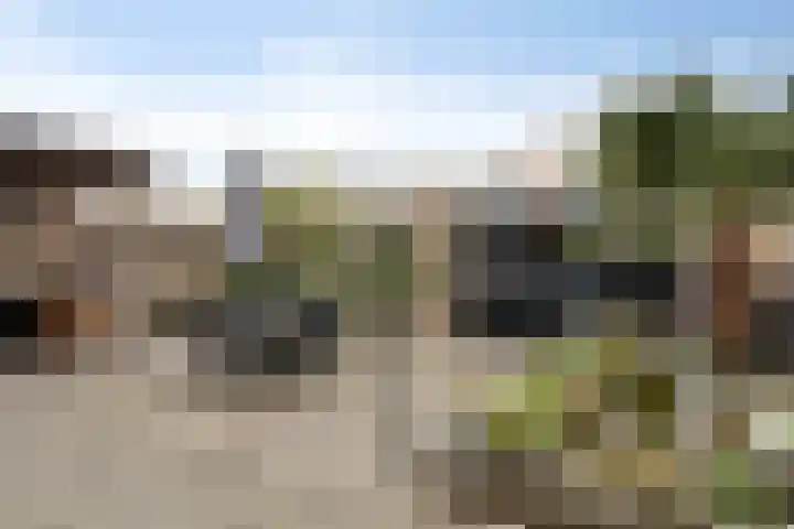 Irislaan 28 Yerseke thumbnail 17
