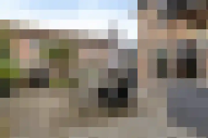 Irislaan 28 Yerseke thumbnail 19