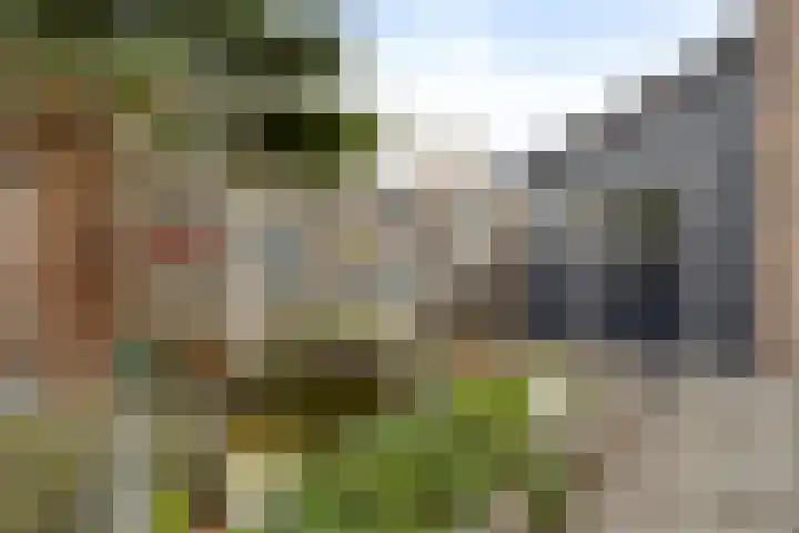 Irislaan 28 Yerseke thumbnail 20